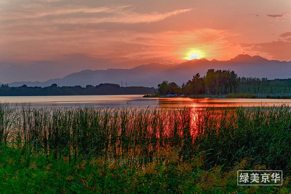 高爱艳-13501163388《夕阳下的妫河》拍摄于延庆妫河河畔.jpg